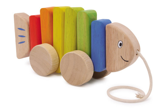 Ziehfisch, bunt