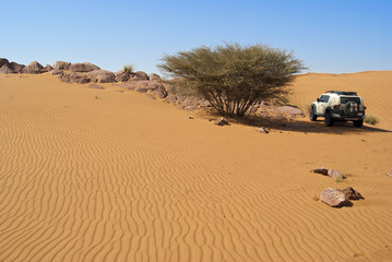 4WD Driving in the Desert