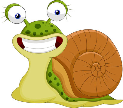 Cute snail cartoon