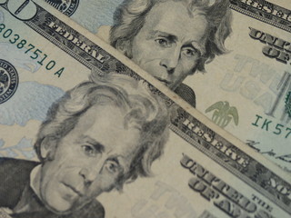 twenty dollar bill
