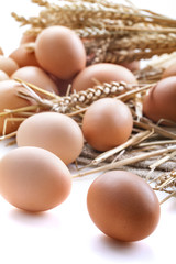 Healthy homemade eggs in hay and wheat on linen canvas