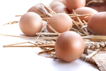 Healthy homemade eggs in hay and wheat on linen canvas