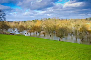 Thames flood