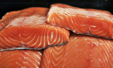 fresh salmon fillet