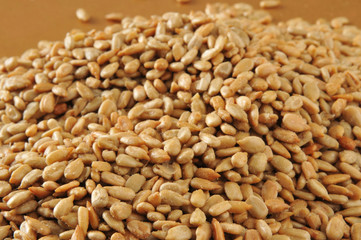 Sunflower seeds