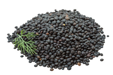 Black lentils heap