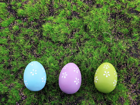Easter eggs on green grass background