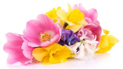 Beautiful flowers in vase isolated on white