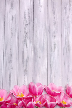 Fototapeta Beautiful flowers on color wooden background