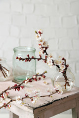 Beautiful apricot blossom in transparent jars