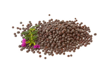 Black mustard seeds