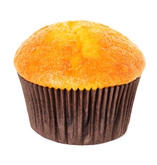 muffin, cupcake isolated