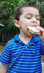 Cute mixed-race boy eats his sandwich outside.