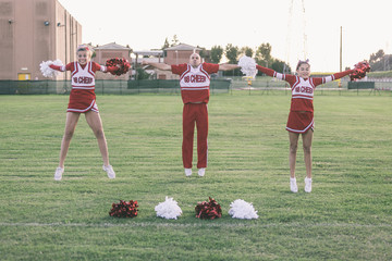 Group of Cheerleaders in the Field