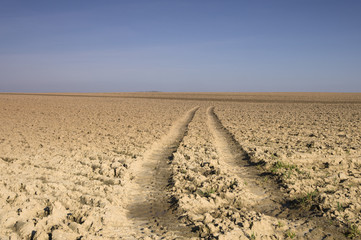 Traces de pneus de tracteur dans un champ