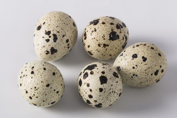 quail eggs on a white background