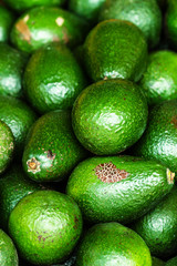 Fresh green avocado. Avocado background. Food background.