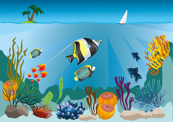 Fototapeta na wymiar marine life with colorful fish