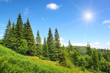 Foto op Plexiglas High mountains and sun on blue sky © Serghei V