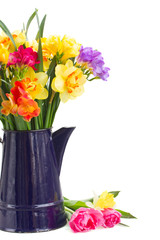 freesia and daffodil flowers in blue pot close up