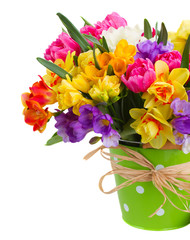 Obraz premium freesia and daffodil flowers in green pot
