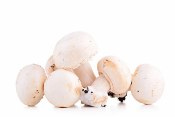 raw mushroom