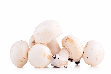 raw mushroom