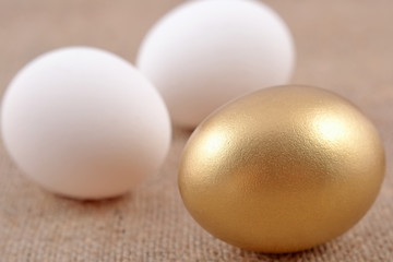 Golden egg and jast eggs