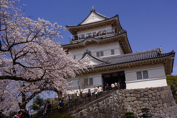 小田原城　天守閣