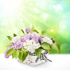 Lilac in a basket