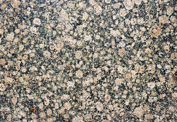 gray marble surface as the texture