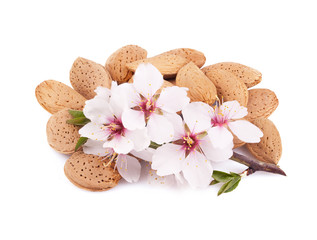 Almonds with a sprig