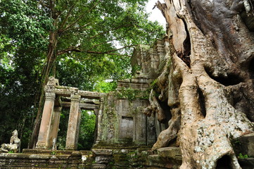 Fototapeta na wymiar Ruiny świątyni Angkor w Kambodży
