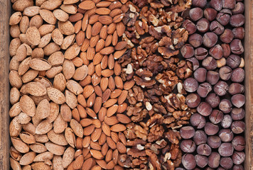 Background of different varieties of nuts