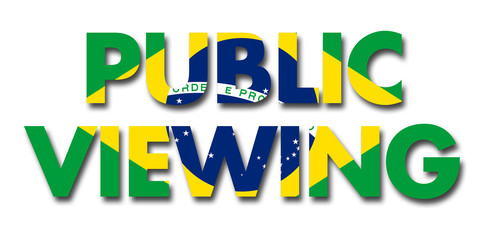 Public Viewing Brazil 2014
