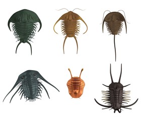 realistic 3d render of trilobites