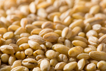 Pearl barley