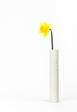 A Single Daffodil In A White Vase