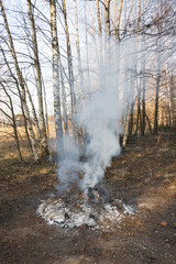 Smoking bonfire at forest