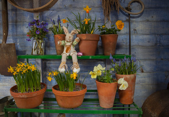 Easter egg hunt with easter bunny in garden shed