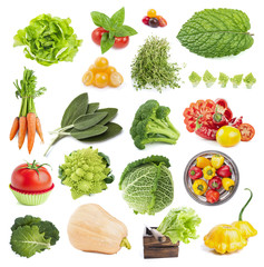 Collection of vegetables isolated on white background