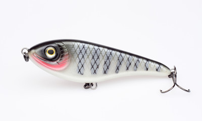 fishing bait isolated on white background