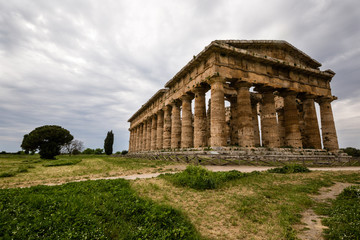 Fototapeta na wymiar Paestum Świątynia Neptuna