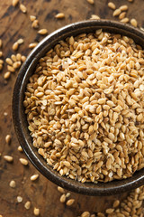 Organic Raw Flax Seeds