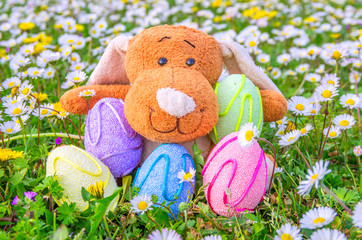 Colored easter eggs and puppet