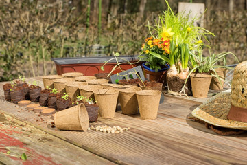 Frühlingserwachen
