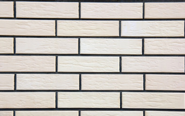 wall of white raised bricks