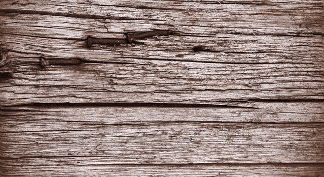 Old wooden texture mit with rusty nails, background
