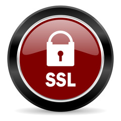 ssl icon