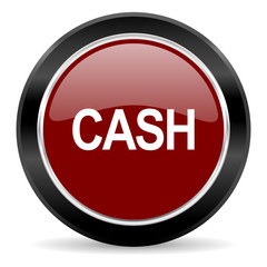 cash icon